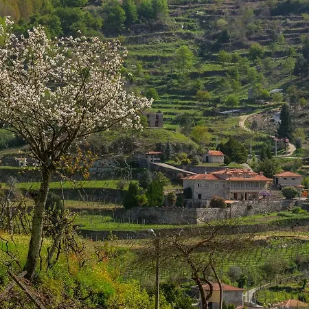 Quinta Santo Antonio Douro * バイアン