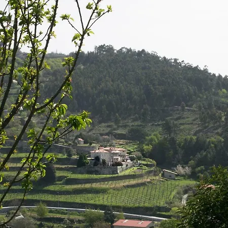 Quinta Santo Antonio Douro バイアン