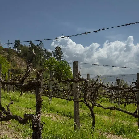 Quinta Santo Antonio Douro *